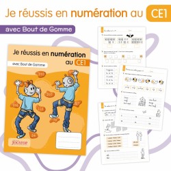 Je réussis en numération...