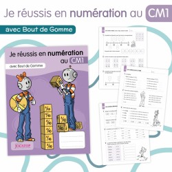 Je réussis en numération...