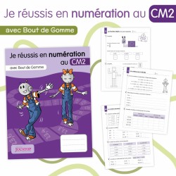 Je réussis en numération...